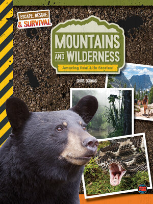 cover image of Mountains and Wilderness